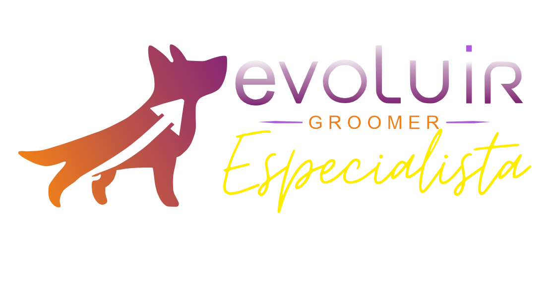 Imagem do logo do formulário